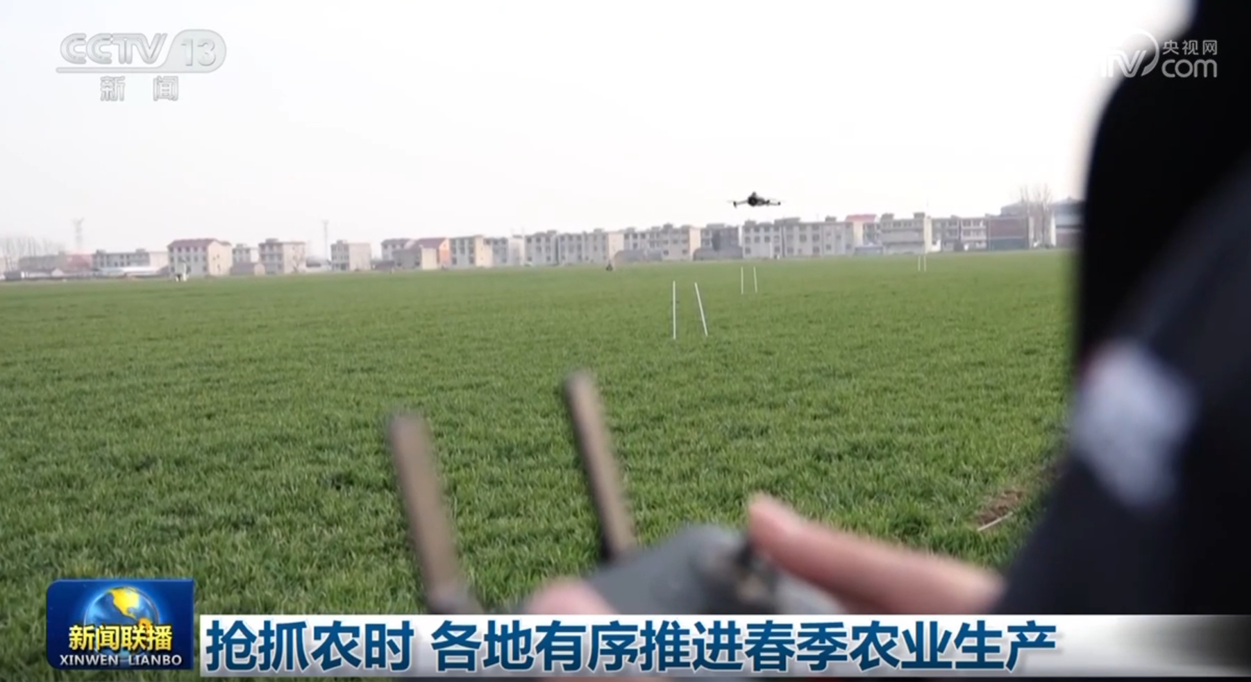 迪马利亚的